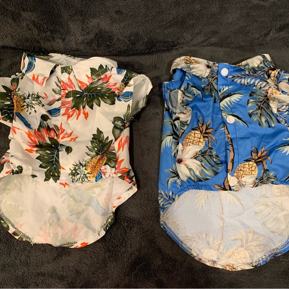 Tropical Dog Shirts Set